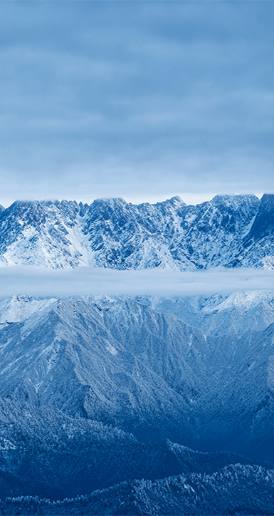 �������Ź���