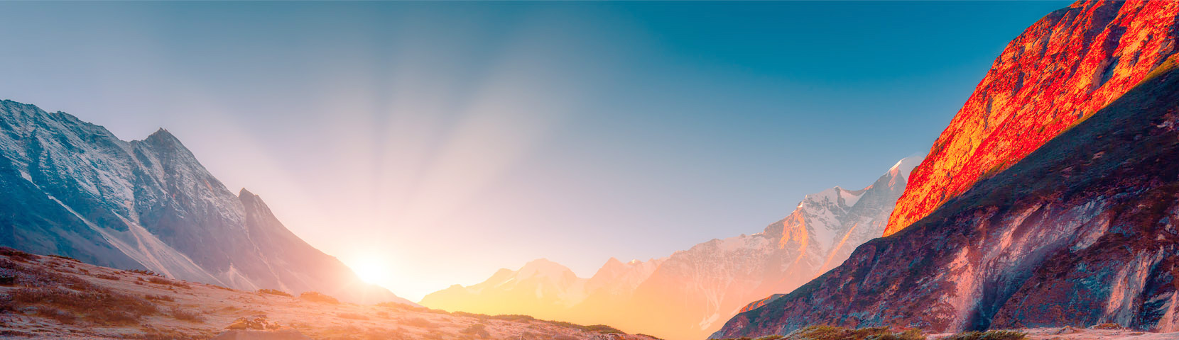 �������Ź���