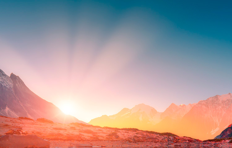 ���Ź���V9��(�й�)���޹�˾����