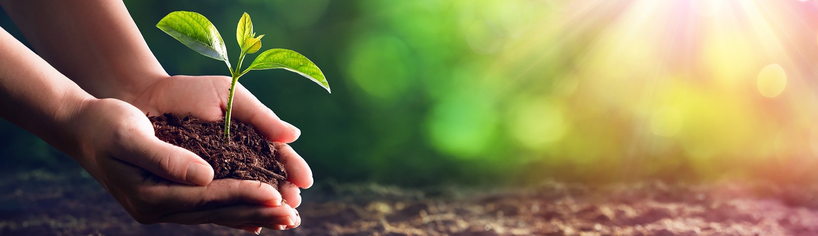 ���Ź���V9��(�й�)���޹�˾����